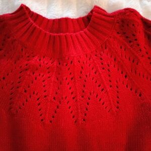 Unworn Cat And Jack Holiday Dress